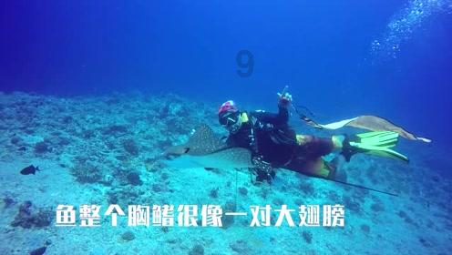 90后为什么都不愿意讨好领导了?游戏画面